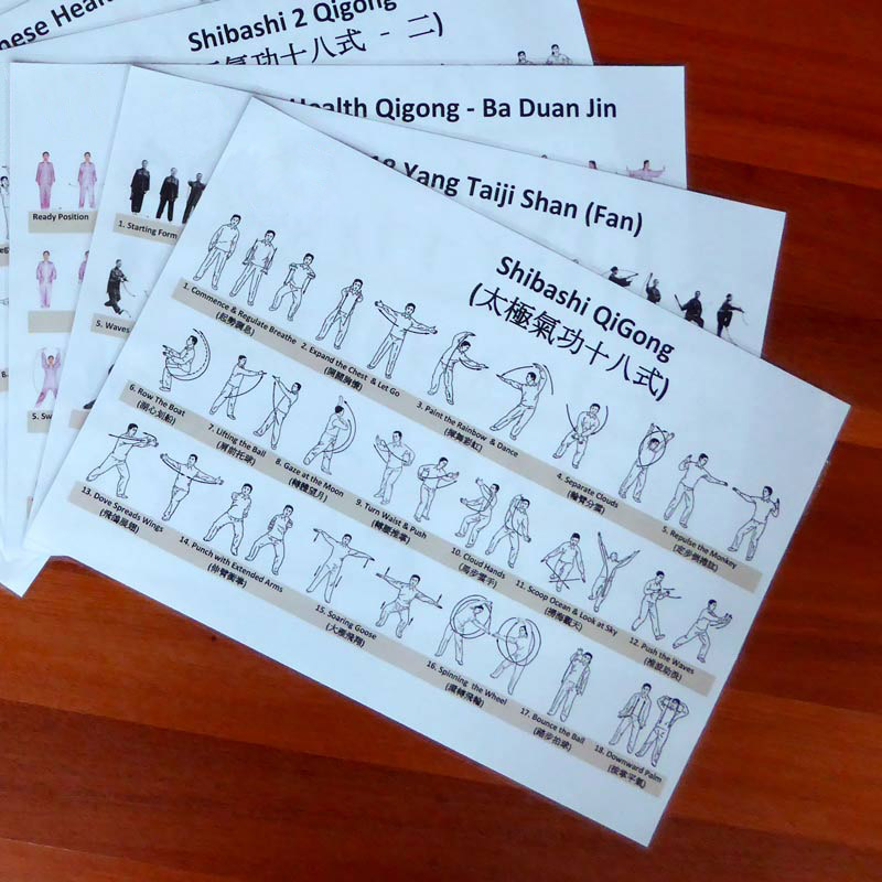 Shibashi 1 Taiji Qigong Reference Chart