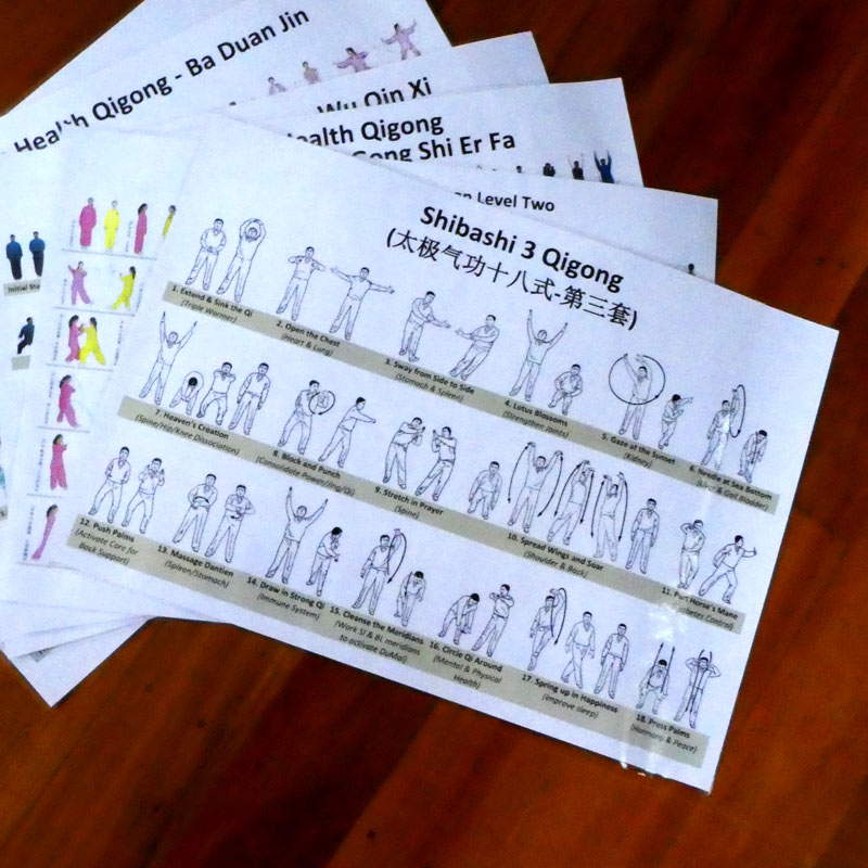 Shibashi 3 Taiji Qigong Reference Chart