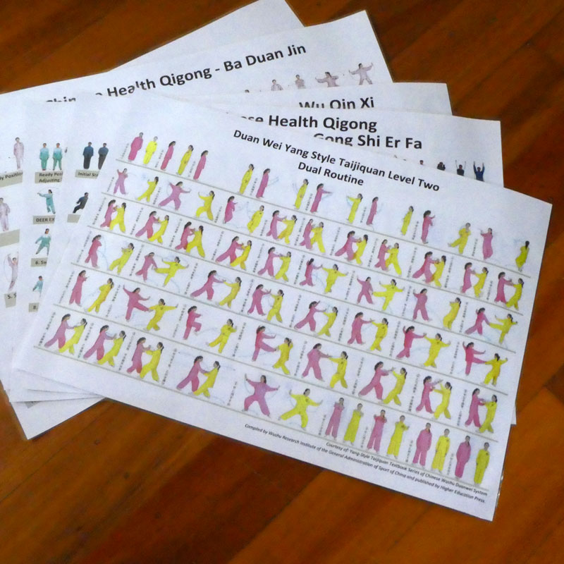 Duan Wei Yang Taijiquan Level Two Dual Routine Reference Chart