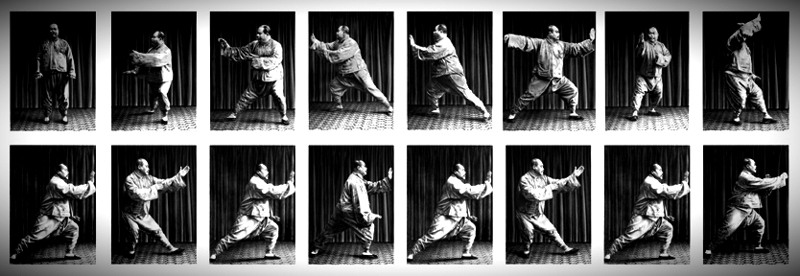 Yang’s 10 Important Points of Practice for Taijiquan... An Interpretation.