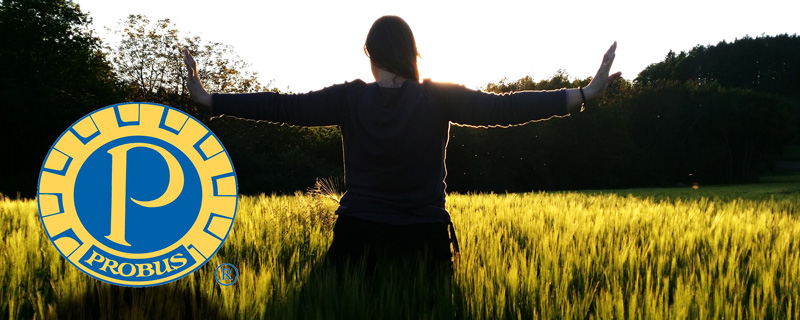 Spreading the Word: Presenting the Benefits of Qigong and Tai Chi to Probus Members