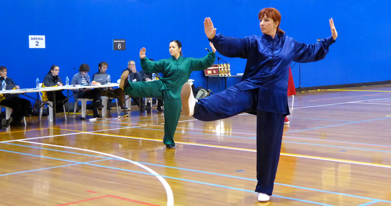 18th WTQA Wushu Taiji And Qigong Competition 2016 – JinLi Amazing On and Off the Floor!